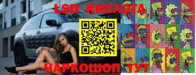 шишки Апшеронск