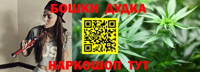 шишки Апшеронск