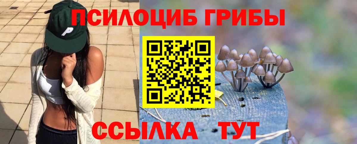 Галлюциногенные грибы мухоморы  цены наркотик  Белая Калитва  Вход с VPN 