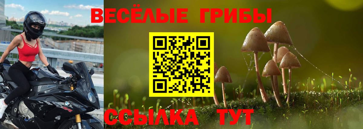Псилоцибиновые грибы Magic Shrooms Белая Калитва